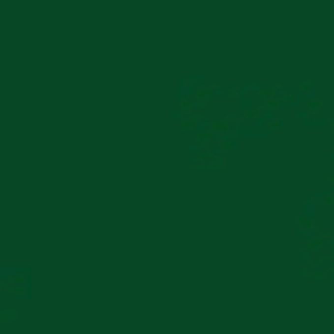 Rust-Oleum 7538838 Professional High Performance Enamel Spray Paint, 15 Oz, Gloss Hunter Green