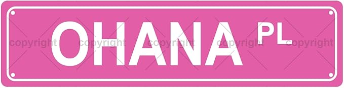 OHANA PL Space Metal Tin Street Sign Bar Cafe Garage Cave Home Room Wall Bathroom Farmhouse Garden Porch Patio Decor, 16 x 4 Inch