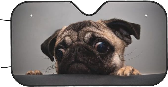 Pug Dog Car Windshield Sunshade Front Window Sun Visor Protector Foldable Shield Cover for Truck SUV