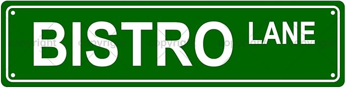 BISTRO LANE Space Metal Tin Street Sign Bar Cafe Garage Cave Home Room Wall Bathroom Farmhouse Garden Porch Patio Decor, 16 x 4 Inch