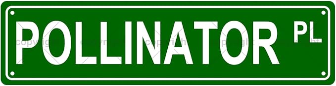 POLLINATOR PL Space Metal Tin Street Sign Bar Cafe Garage Cave Home Room Wall Bathroom Farmhouse Garden Porch Patio Decor, 16 x 4 Inch