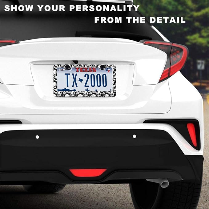 2Pack of Skull License Plate Frames Horror Skull Car Decor Accessories,Metal Black and White Skull License Plate Frame Cover Tag Holder Bracket