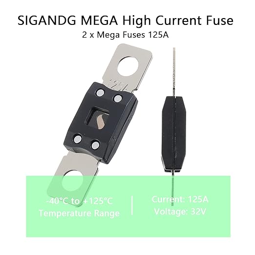 125A MEGA High Current Fuse - 125 Amp Bolt-on Fuse for Cars, Trucks, Construction Vehicles, Buses, Caravans (2 Pcs)