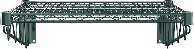 24" x 24" Green Epoxy Wire Wall Mount Shelf