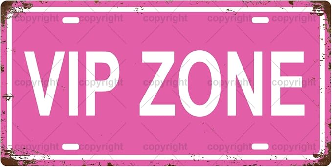 VIP ZONE Space Vintage Metal Tin Sign, License Plate, Home Decor, Room Decor, Wall Decor, Bathroom Decor, Bar Decor, Cafe Decor, Garage Decor, 12 x 6 Inch