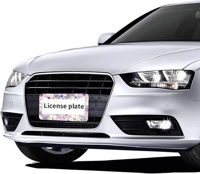 Flowers Daisy License Plate Frames - 2 Pcs Set 2 Holes Metal Aluminum Auto Car Accessories Decoration License Plate Frame 12.2 x 6.3 inch for Women Men Gift