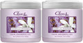 Clear Air Odor Absorber Gel - 15 oz, Pack of 2 - Air Freshener Absorbs and Eliminates Odors in Bathrooms, Cars, Boats, RVs and Pet Areas - Made with Essential Oils - Lavender Vanilla Scent