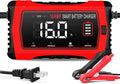 16 Amp Battery Charger, Car Battery Charger 6V 12V 24V Lithium,Lifepo4,Lead-Acid(AGM/Gel/SLA..),Battery Maintainer, Trickle Charger, and Battery Desulfator for Car,Boat,Motorcycle…