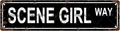 SCENE GIRL WAY Space Vintage Metal Tin Sign, Street Sign, Home Decor, Room Decor, Wall Decor, Bathroom Decor, Bar Decor, Cafe Decor, Garage Decor, 16 x 4 Inch