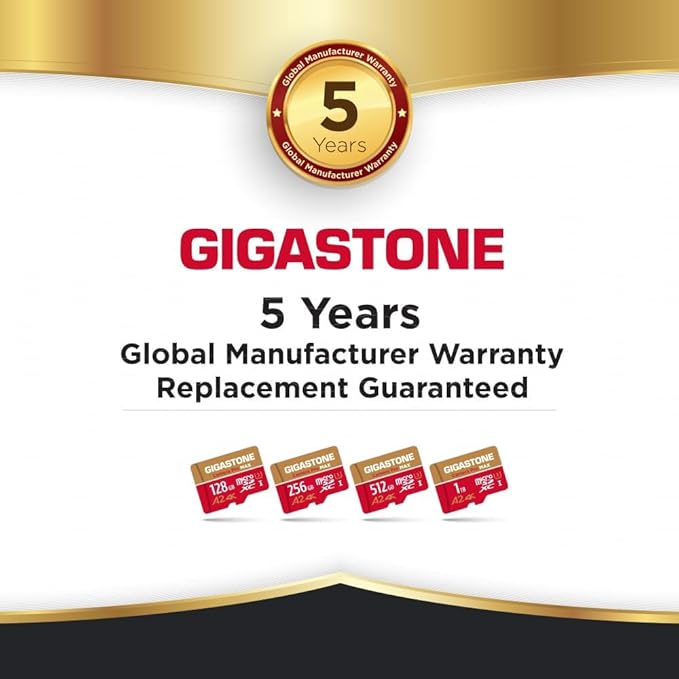 [5-Yrs Free Data Recovery] GIGASTONE 256GB Micro SD Card with USB 3.2 Type C Card Reader, 4K Camera Pro MAX, Speed Up to 130MB/s Compatible with Gopro, DJI, Dash Cam, MicroSDXC UHS-I A2 V30 U3