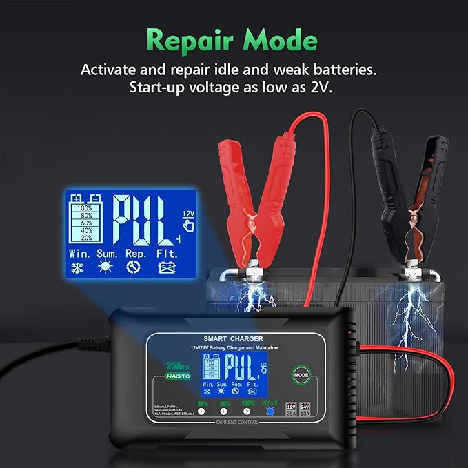 25 Amp Lithium Battery Charger, 12V and 24V Lifepo4,Lead-Acid(AGM/Gel/SLA..) Battery Charger,Battery Maintainer, Trickle Charger, and Battery Desulfator for Car,Boat,Motorcycle, Lawn Mower.