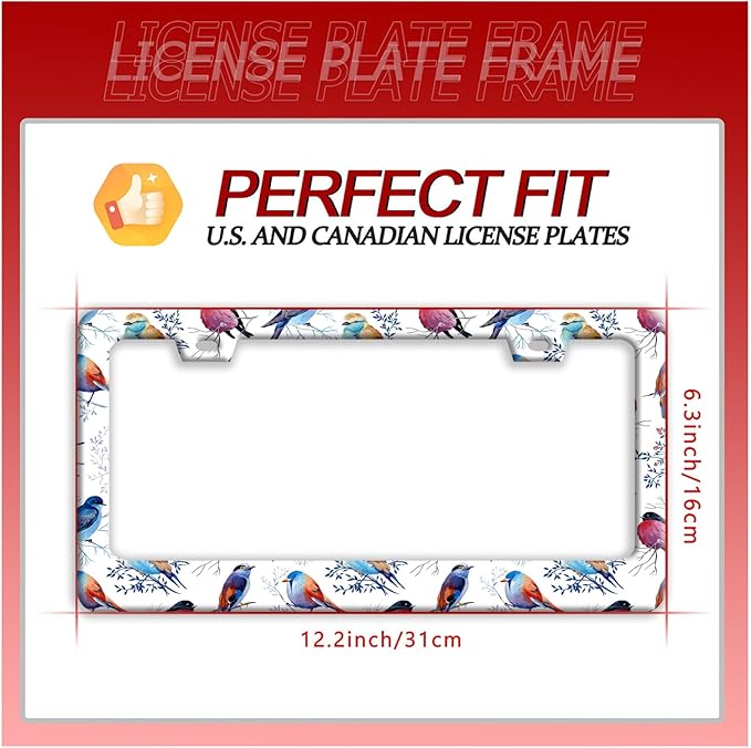 Bird License Plate Frame Funny Parrot Animal License Plate Frames Stainless Steel Accessories Cars Decor with 2 Holes and Screws Reusable Fits Standard Us Ca Vehicles License Plate Holder 12.2 X 6 in