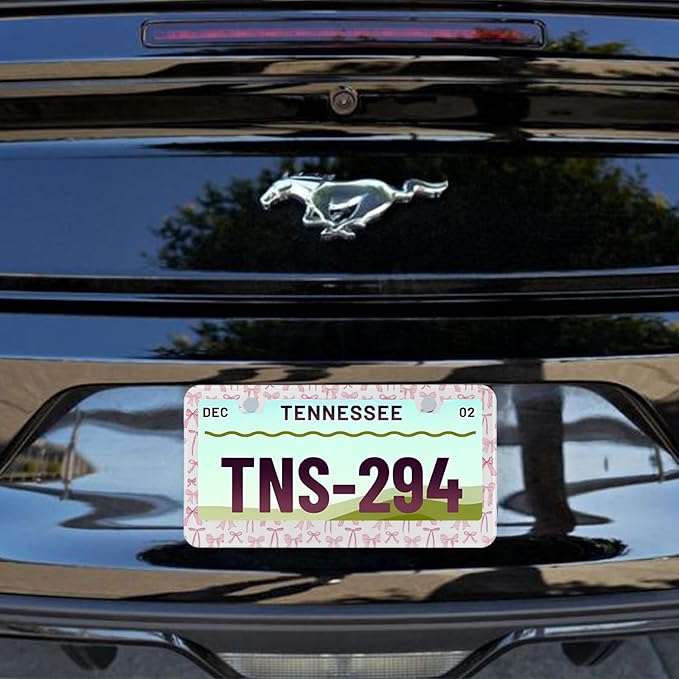 License Plate Frame for Pink Bow Stainless Steel License Plate Frames Holder Covers Rust-Proof Auto Parts Decoration with Screws License Plate Holder for Car Accessories 12x6 Inch