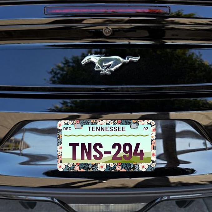 Folk Floral License Plate Frame Colorful Flowers Stainless Steel License Plate Frames Holder Covers Rust-Proof Auto Parts Decoration with Screws License Plate Holder for Car Accessories 12x6 Inch