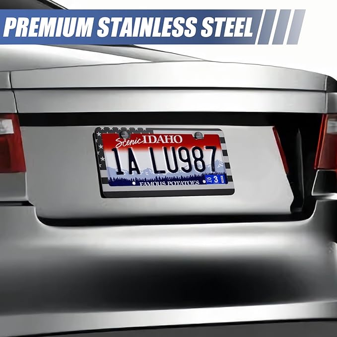 2 Pack License Plate Frames, Stainless Steel Car License Plate Cover Car Accessories with Screw Caps (Grey and Black)