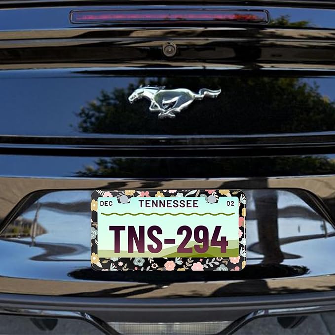 Black Cute Cartoon Floral License Plate Frame Colorful Flowers Stainless Steel License Plate Holder Auto Parts Decoration with Screws License Plate Holder 12x6 Inch for Women Gift Car Accessories