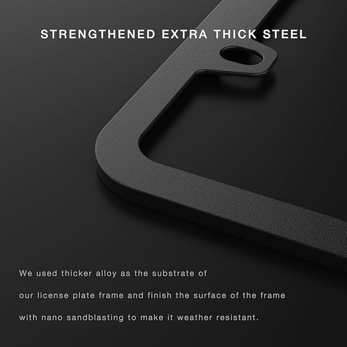 License Plate Frame (Black)
