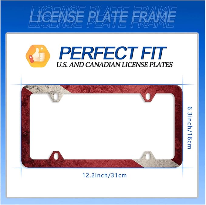 Vintage Dive Down Flag License Plate Diving Flag License Plate Stainless Steel Parts Funny License Plate Decorative with Screws Size 12.3" x 6.3" for Women Men