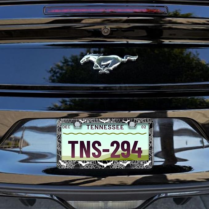 License Plate Frame for Bats and Spider Webs Stainless Steel License Plate Frames Holder Covers Rust-Proof Auto Parts Decoration with Screws License Plate Holder for Car Accessories 12x6 Inch