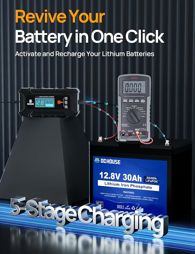 DC HOUSE 5A Battery Charger, 12V Smart Lithium Battery Charger for LiFePO4 & Lead Acid, Trickle Charger Maintainer and Desulfator for Car, Motorcycle, Automotive Batteries