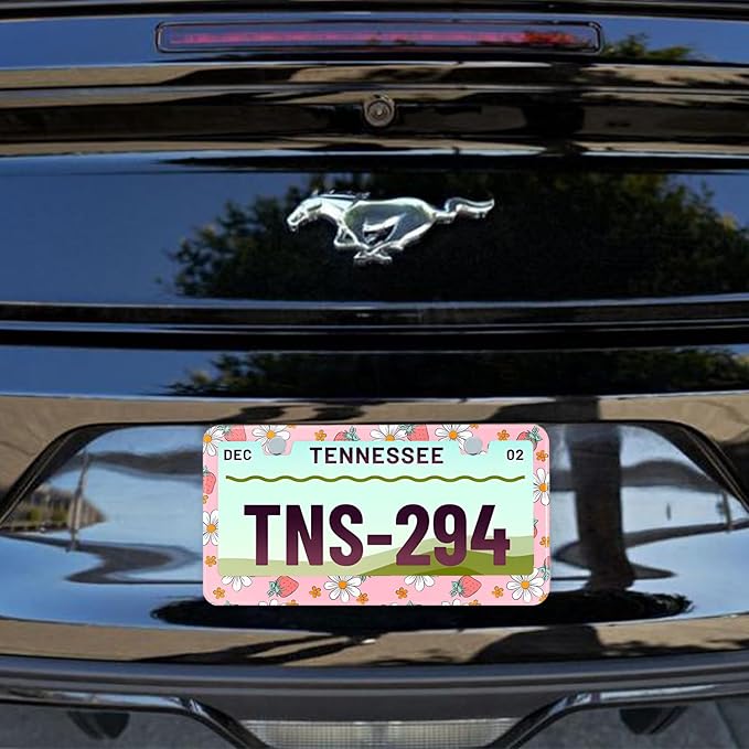 Pink Strawberry Floral License Plate Frame Stainless Steel License Plate Frames Holder Covers Rust-Proof Auto Parts Decoration with Screws License Plate Holder for Car Accessories 12x6 Inch