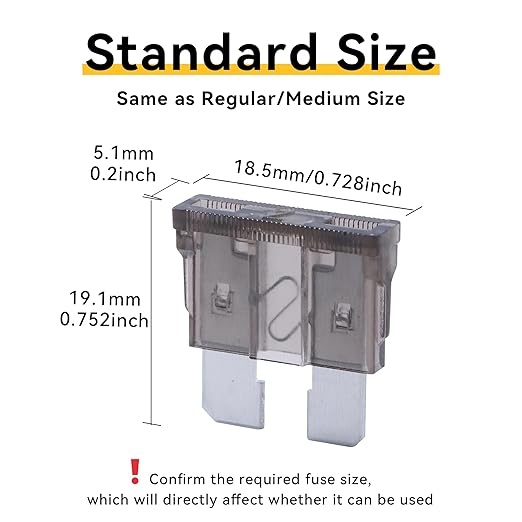100 Pack Auto Fuses 2 AMP ATC/ATO Standard Regular Fuse Blade 2A Car Truck Boat Marine RV
