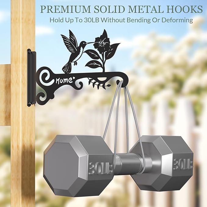 10 Inch Metal Plant Hooks (2-Pack) - Decorative Wall Hangers with Bird Design for Indoor & Outdoor Use - Hanging Brackets for Plants, Flower Baskets, Bird Feeders, Lanterns - Patio, Garden, Home Decor