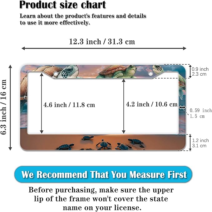 License Plate Frames Multicolor Fun License Plate Frame Protector Turtle Beach and Ocean Universal Aluminum Car Accessory 2 Pack with Screw Covers Set