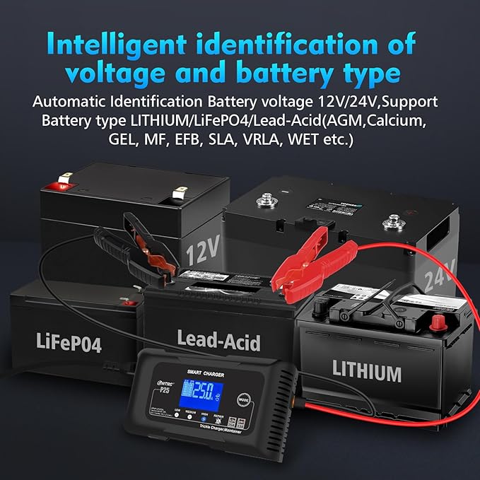 25Amp Lithium Battery Charger, 12V and 24V Lead-Acid (AGM/Gel/SLA) Battery Charger, Battery Maintainer Pulse Repair Charger Trickle Charger Battery Desulfator for Boat, Motorcycle, Golf cart