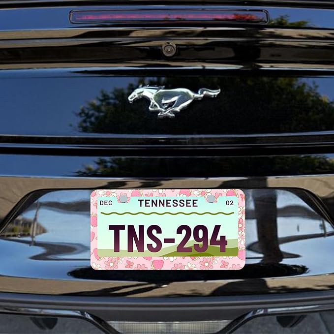 Flowers License Plate Frame Car Universal Stainless Steel Accessories with 2 Holes and Screws Fit for US Vehicles Size 12 x 6 Inches (Pink Butterfly Strawberry Floral, 2)