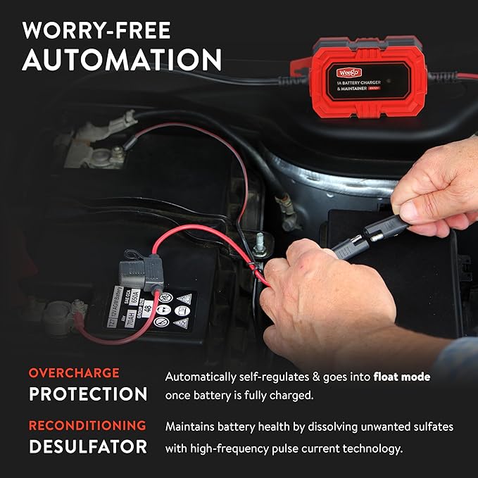 Weego 1A Battery Maintainer/Trickle Charger