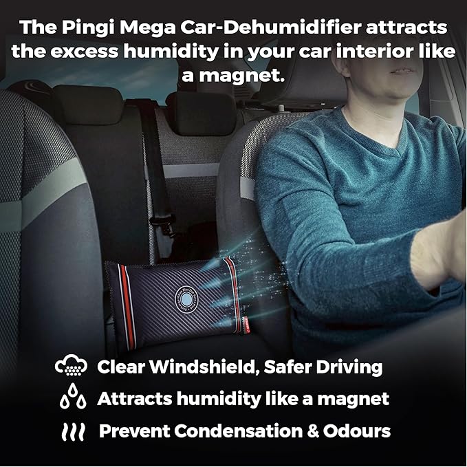 Car Dehumidifier Mega Pack - Absorbs Moisture & Condensation - 100% Leakproof - Reusable (2.2lbs/1kg)