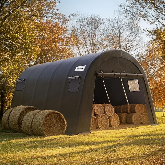 KING BIRD 12' x 20' Oval Pipe Heavy Duty Carport with Roll-up Ventilated Windows for SUV, Full-Size Truck and Boat, Round Style Anti-Snow Car Canopy Outdoor Boat Shelter with Reinforced Ground Bars