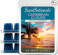 Scentsationals Wax Melts, Wax Cubes Strong Scent - Caribbean Clouds - Long Lasting Scented Wax Melts for Warmer, 10oz (24-Cubes)