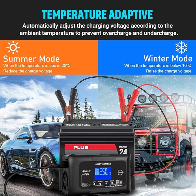 25Amp Lithium Battery Charger, 12V and 24V Lead-Acid (AGM/Gel/SLA) Battery Charger, Battery Maintainer Pulse Repair Charger Trickle Charger Battery Desulfator for Boat, Motorcycle, Golf cart