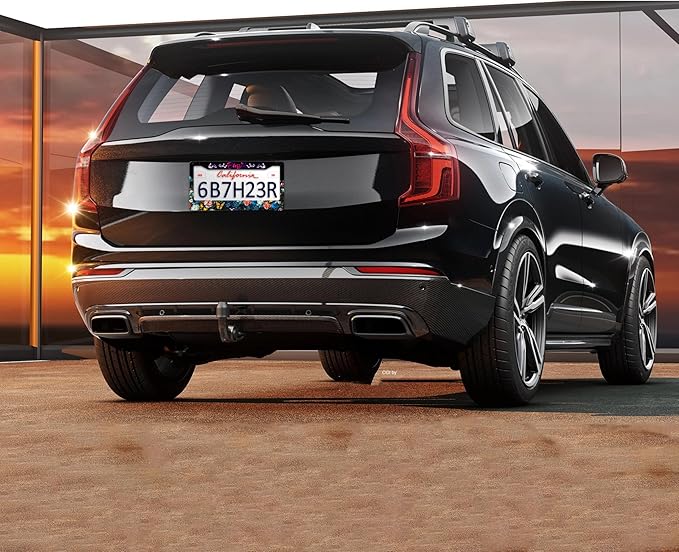 Blessed License Plate Frame Beautiful Butterfly Flowers License Plate Holders Funny Stainless Steel Auto Accessory Bracket 2 Hole with Screws Universal Us Car License Plate Frames 6x12 Inch