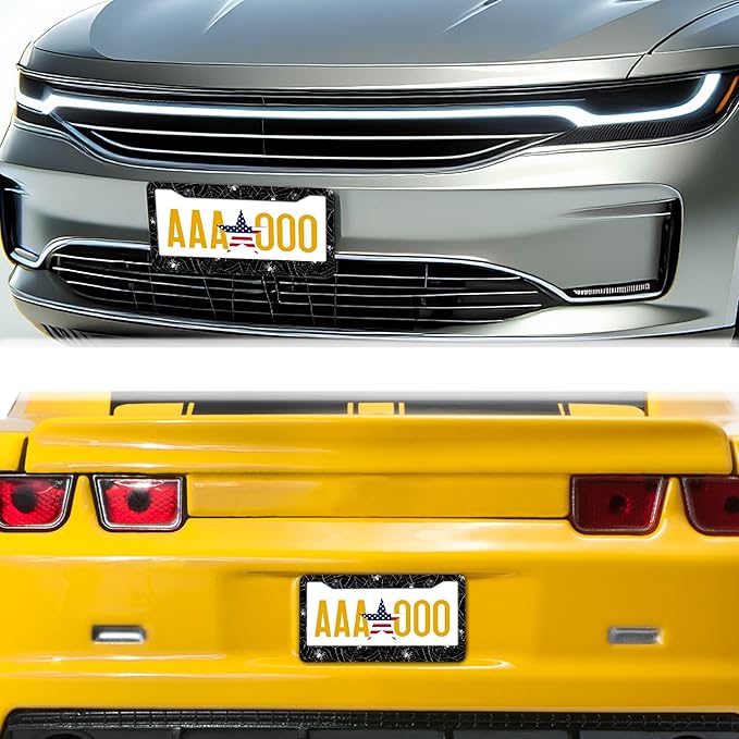 License Plate Cover for Men Black and White License Plate Frames for Women Spider Web Universal Aluminum Car Accessory 2 Pack with Screw Covers Set