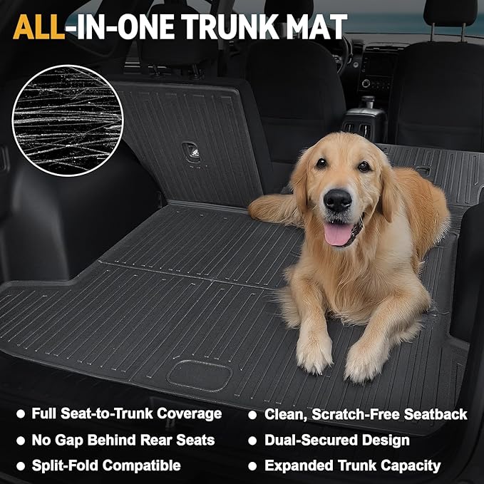 Floor Mats Set for Ford Escape 2020-2024 2025 Accessories (Not for Hybrid), Full Coverage All Weather Floor Mats Cargo Mat with Backrest Protectors & Door Sill Guards