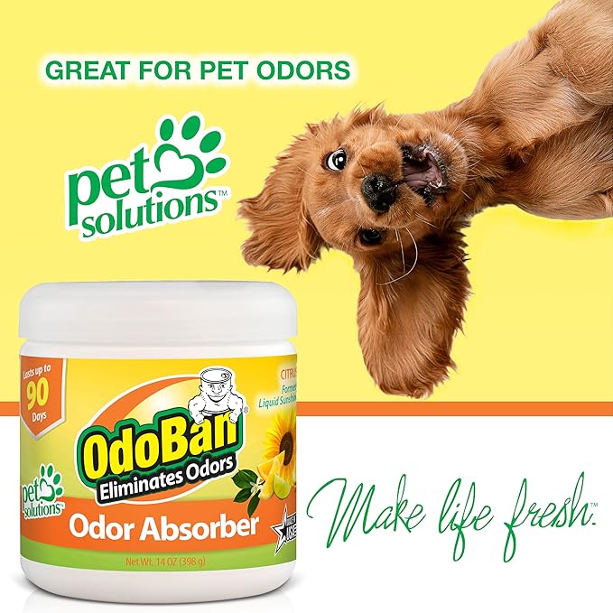 OdoBan Solid Odor Absorber Eliminator for Home and Small Spaces, Citrus Scent, 14 Ounces Each, 9-Pack