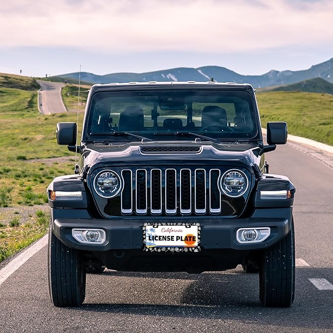 Black and White Daisies License Plate Frame Flower Art License Plate Holder for Front or Rear Car Tags Stainless Steel Funny Car Decoration with Screws 6.3 X 12.2 in