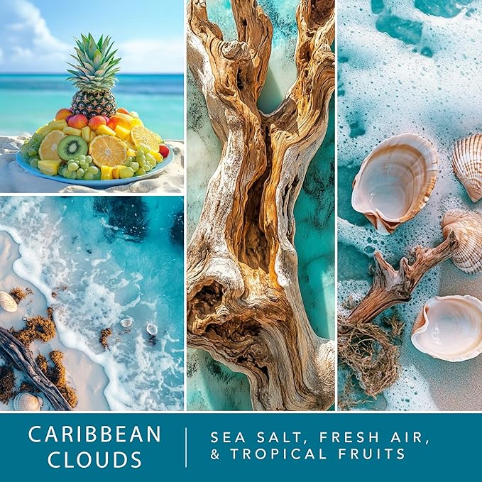 Scentsationals Wax Melts Staycation 4-Pack – Long Lasting Wax Cubes with Strong Scent for Warmers – Includes Frozen Lemonade, Caribbean Clouds, Warm White Sands & Dreamsicle Cream – 10oz (24-Cubes)